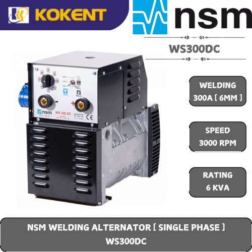 NSM WELDING ALTERNATOR [ SINGLE PHASE ]  WS300DC