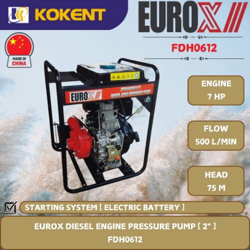 EUROX DIESEL ENGINE PRESSURE PUMP [ 2