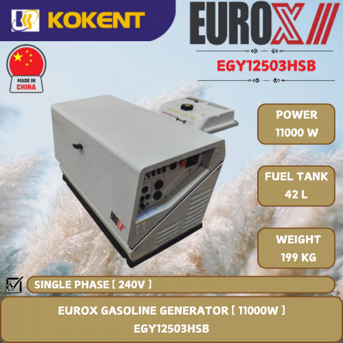 EUROX GASOLINE GENERATOR [ 11000W.45L/TANK.199KG ]  EGY12503HSB
