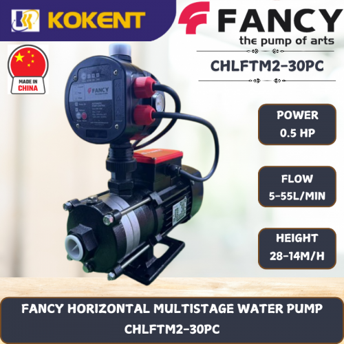 FANCY HORIZONTAL MULTISTAGE WATER PUMP [1