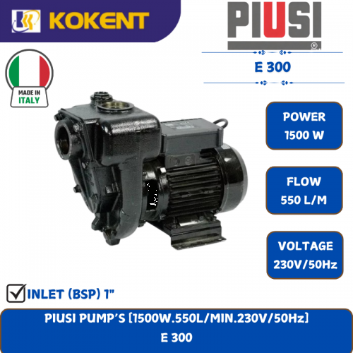 PIUSI PUMP’S [1500W.550L/MIN.230V/50Hz]  E 300