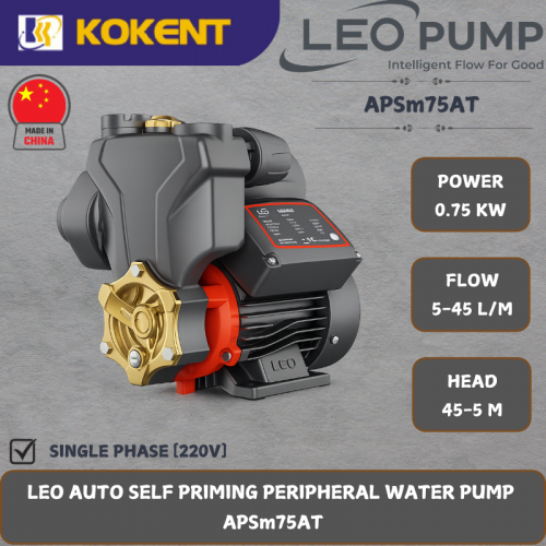 LEO AUTO SELF PRIMING PERIPHERAL WATER PUMP  [0.75KW.5-45L/MIN.45-5M/HEAD] APSm75AT