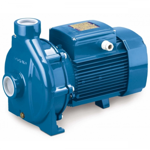 Pedrollo Centrifugal Pump 1.1kW, 50~200L/min 32.5~18m CPm160C