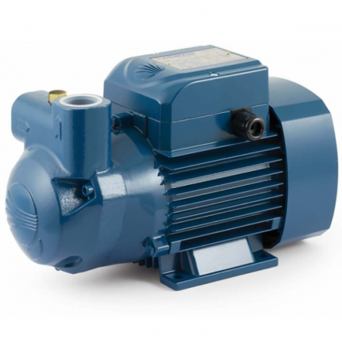 Pedrollo Self Priming Pump for Diesel 250W 5~40L/m 20~5m CKm50BP