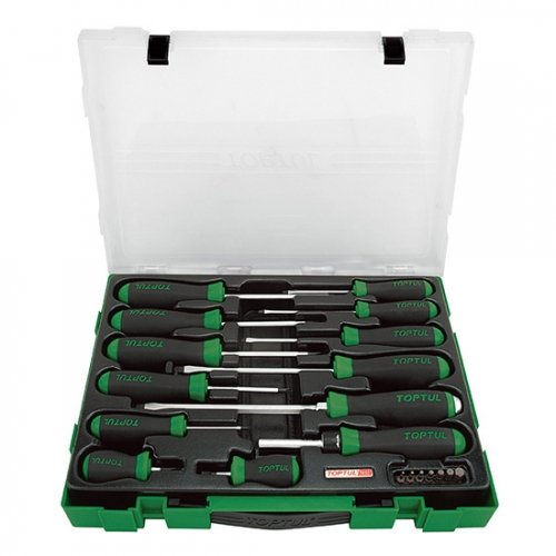 Toptul 20PCS Professional Screwdriver & Bit Set