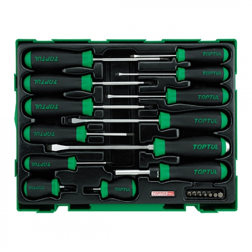 20PCS - Professional Screwdriver & Bit Set