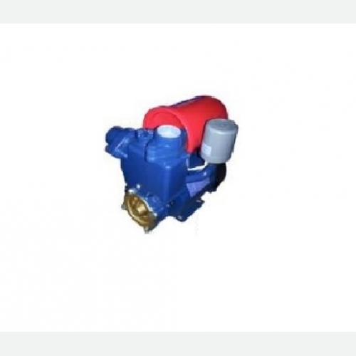 Auto Self-Priming Pump (II)