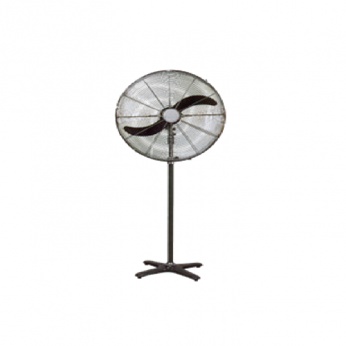 Stand Fan (II)