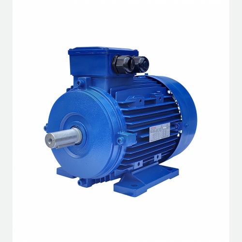 BRANCO 3 Phase Aluminium Induction Motor