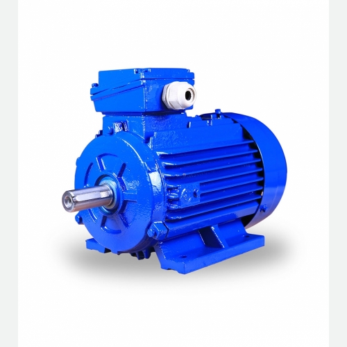 BRANCO 3 Phase Cast Iron IE2 Induction Motor