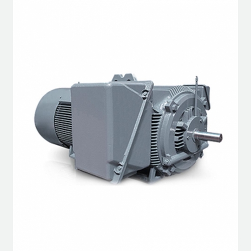 Large Low Voltage Motor