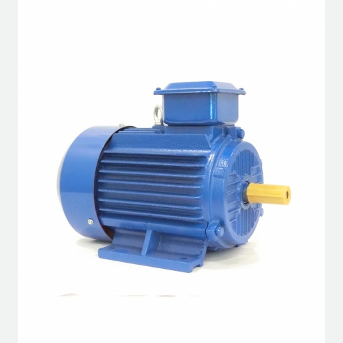 Y2 Series Three Phase Induction Motor IP55, Class F