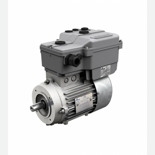 Drivon Inverter Motor