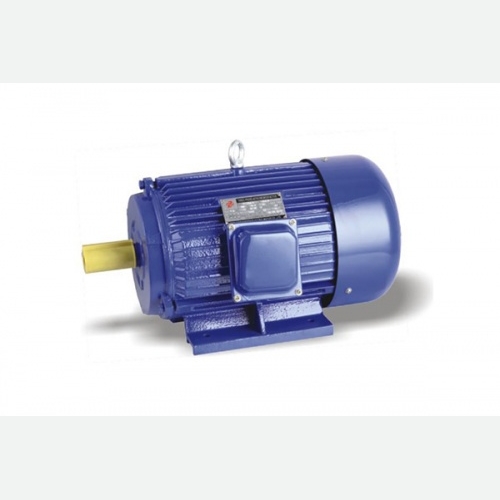 Y Series Three phase Induction Motor