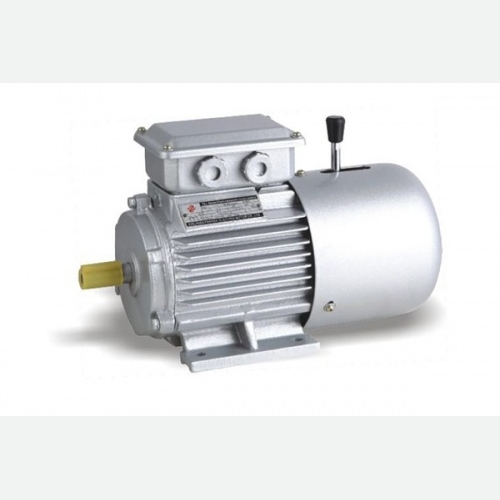 YEJ Series AC Squirrel-Cage Brake Motor