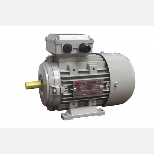 MS Series Three-Phase Motor