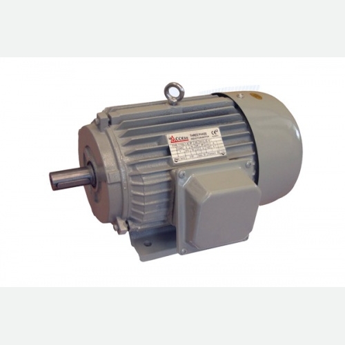 Y Series Three-Phase Motor