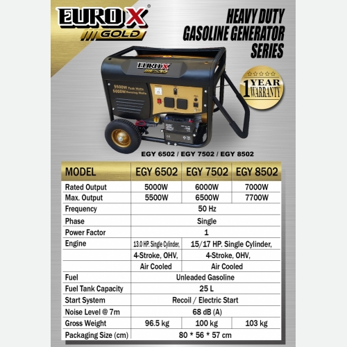 EURO X EGY 6502 7502 8502 (L) Heavy Duty Gasoline Generator
