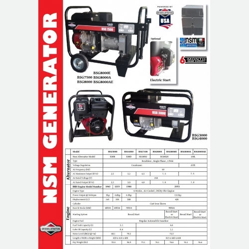 BRIGGS & STRATTON BSG SERIES GENERATOR