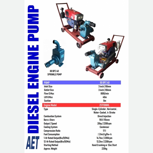 ZS 1110NML DIESEL ENGINE PUMP