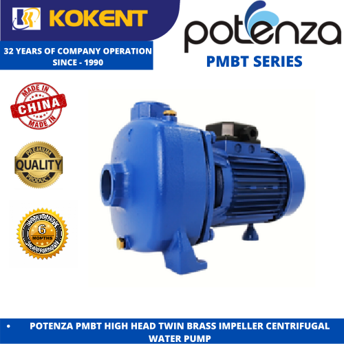 POTENZA PMBT HIGH HEAD TWIN BRASS IMPELLER CENTRIFUGAL  WATER PUMP