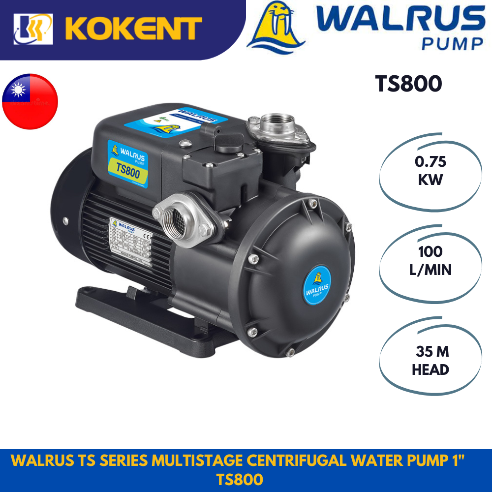 WALRUS TS SERIES MULTISTAGE CENTRIFUGAL WATER PUMP 1