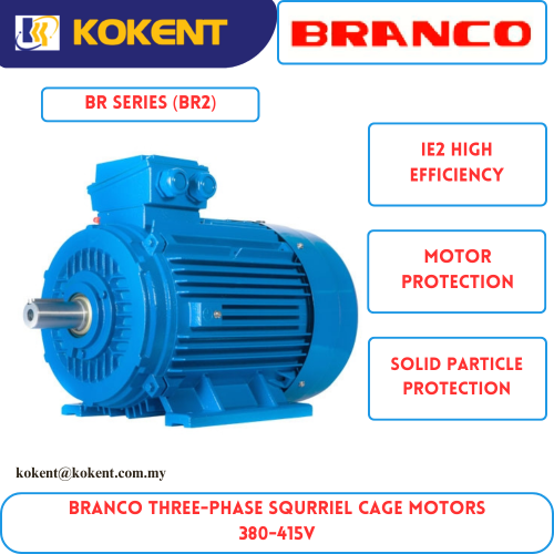 BRANCO THREE-PHASE SQURRIEL CAGE MOTORS 380-415V