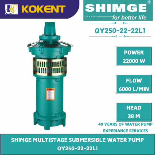 SHIMGE MULTISTAGE SUBMERSIBLE WATER PUMP  QY250-22-22L1