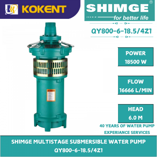 SHIMGE MULTISTAGE SUBMERSIBLE WATER PUMP  QY800-6-18.5/4Z1