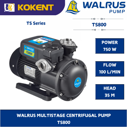 WALRUS MULTISTAGE CENTRIFUGAL PUMP  TS800